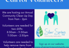 Silver Springs Community Cleanup
